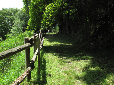 20140524hike (170)